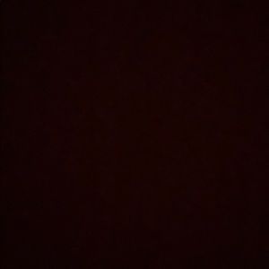 Meet your Posher, Ava